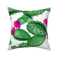 emerald paddle cactus + rose // oversized // rotated