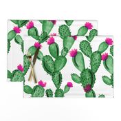 emerald paddle cactus + rose 