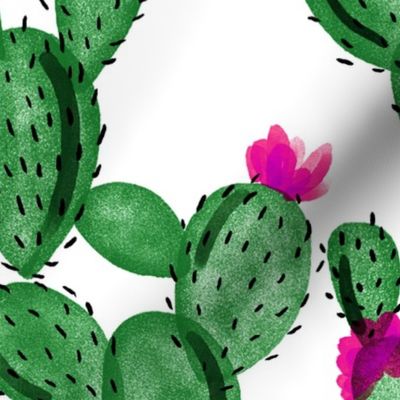 emerald paddle cactus + rose 
