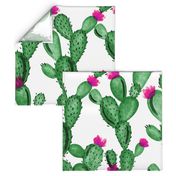 emerald paddle cactus + rose // oversized