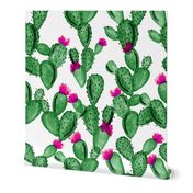 emerald paddle cactus + rose // oversized