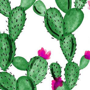 emerald paddle cactus + rose // oversized