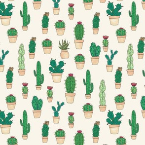 Illustrated Cacti and Succulents