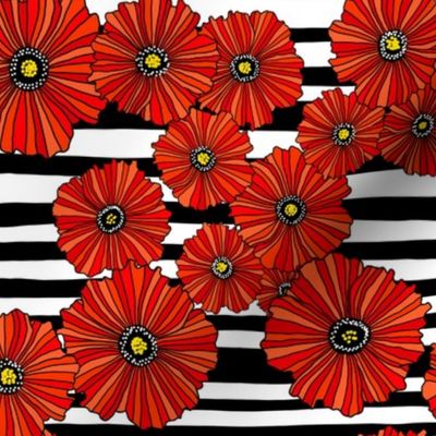 Black and white poppy stripe