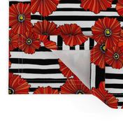 Black and white poppy stripe