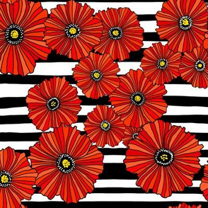 Black and white poppy stripe