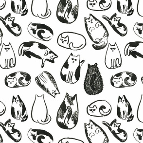 Cats pattern