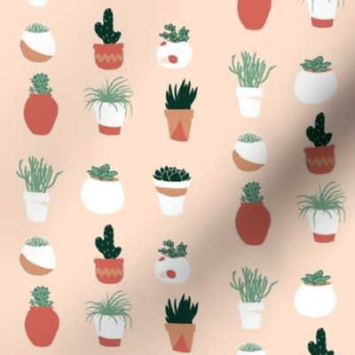 Potted Succulents in Blush Pink // Cacti and Terracotta pots // Desert Chic by Zoe Charlotte