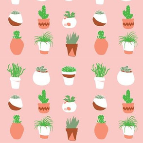 Potted Succulents in Bright Pink // Cacti and Terracotta pots // Desert chic by Zoe Charlotte