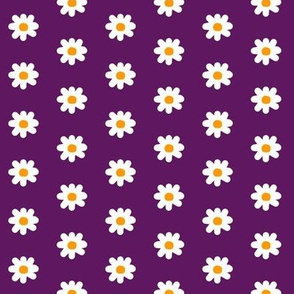 It's Been Gnome 2 Happen! daisies on purple 