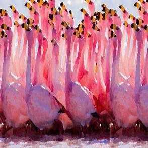 lot_of_flamingos-ed-ed-ed