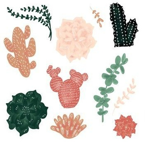 Darling Succulents - Smaller size