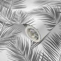 palm leaves - gray on white, small. silhuettes tropical forest gray white hot summer palm plant tree leaves fabric wallpaper giftwrap