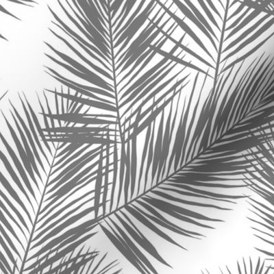 palm leaves - gray on white, small. silhuettes tropical forest gray white hot summer palm plant tree leaves fabric wallpaper giftwrap