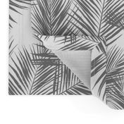 palm leaves - gray on white, small. silhuettes tropical forest gray white hot summer palm plant tree leaves fabric wallpaper giftwrap