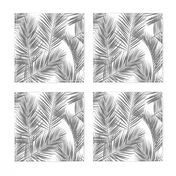 palm leaves - gray on white, small. silhuettes tropical forest gray white hot summer palm plant tree leaves fabric wallpaper giftwrap