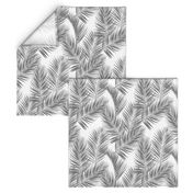 palm leaves - gray on white, small. silhuettes tropical forest gray white hot summer palm plant tree leaves fabric wallpaper giftwrap