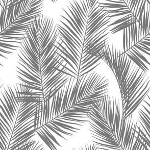 palm leaves - gray on white, small. silhuettes tropical forest gray white hot summer palm plant tree leaves fabric wallpaper giftwrap