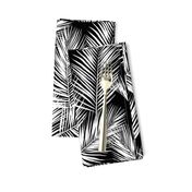 palm leaves - white on black, silhuettes tropical forest black white simple hot summer palm plant tree leaves fabric wallpaper giftwrap