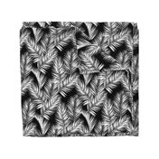 palm leaves - white on black, silhuettes tropical forest black white simple hot summer palm plant tree leaves fabric wallpaper giftwrap