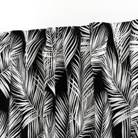 palm leaves - white on black, silhuettes tropical forest black white simple hot summer palm plant tree leaves fabric wallpaper giftwrap