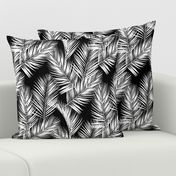 palm leaves - white on black, silhuettes tropical forest black white simple hot summer palm plant tree leaves fabric wallpaper giftwrap