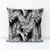 palm leaves - white on black, silhuettes tropical forest black white simple hot summer palm plant tree leaves fabric wallpaper giftwrap