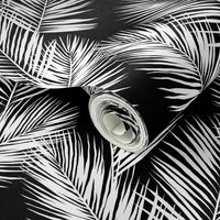 palm leaves - white on black, silhuettes tropical forest black white simple hot summer palm plant tree leaves fabric wallpaper giftwrap