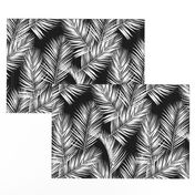 palm leaves - white on black, silhuettes tropical forest black white simple hot summer palm plant tree leaves fabric wallpaper giftwrap