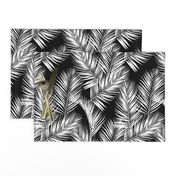 palm leaves - white on black, silhuettes tropical forest black white simple hot summer palm plant tree leaves fabric wallpaper giftwrap