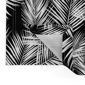 palm leaves - white on black, silhuettes tropical forest black white simple hot summer palm plant tree leaves fabric wallpaper giftwrap