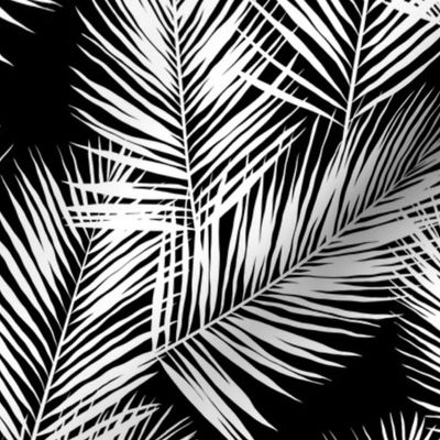 palm leaves - white on black, silhuettes tropical forest black white simple hot summer palm plant tree leaves fabric wallpaper giftwrap
