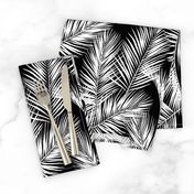 palm leaves - white on black, silhuettes tropical forest black white simple hot summer palm plant tree leaves fabric wallpaper giftwrap