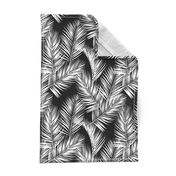 palm leaves - white on black, silhuettes tropical forest black white simple hot summer palm plant tree leaves fabric wallpaper giftwrap