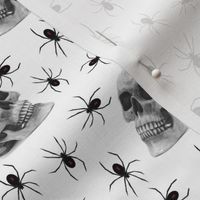 spiders and skull