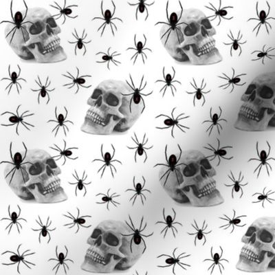 spiders and skull