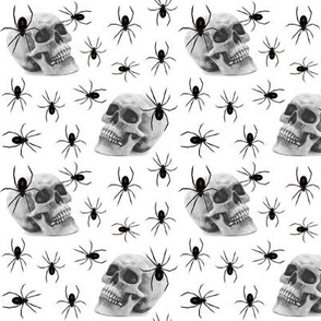 spiders and skull