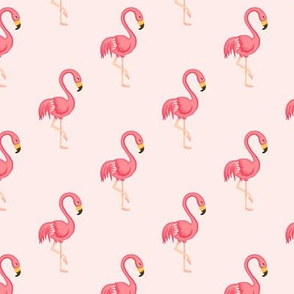 Flamingo Midscale Blush