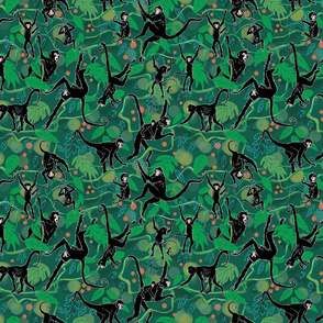 Spider Monkeys on Green