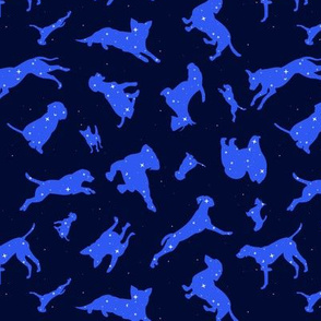 Constellation Dogs