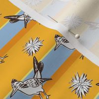 Roadrunner on yellow horizontal stripes | small