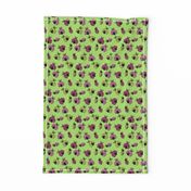 Ladybird Shuffle - Spring Green