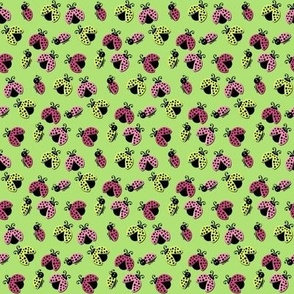 Ladybird Shuffle - Spring Green - Small