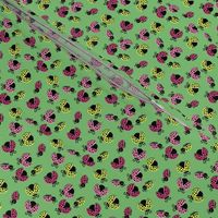 Ladybird Shuffle - Leaf Green - Small