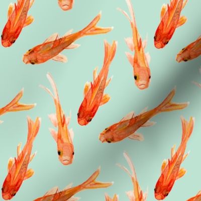 Goldfish -  Mint Background custom