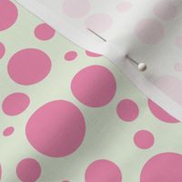 Ladybird Colour Spot - Rose Pink