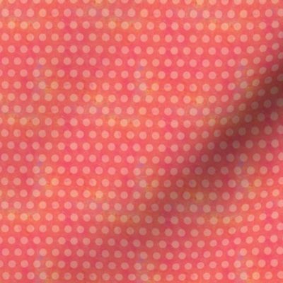 Warm and Sunny-Pink Polka Dots 