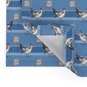 Roadrunner on light blue stripes | small