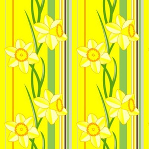 Daffodil stripes