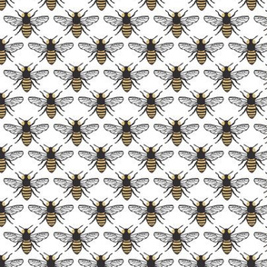 Honeybees - White